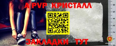стафф Лесосибирск